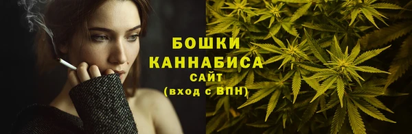 твердый Заводоуковск