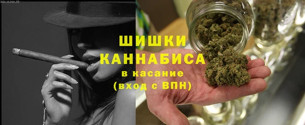твердый Заводоуковск