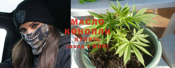 твердый Заводоуковск