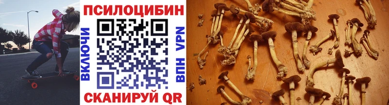 Псилоцибиновые грибы Psilocybe Курчатов