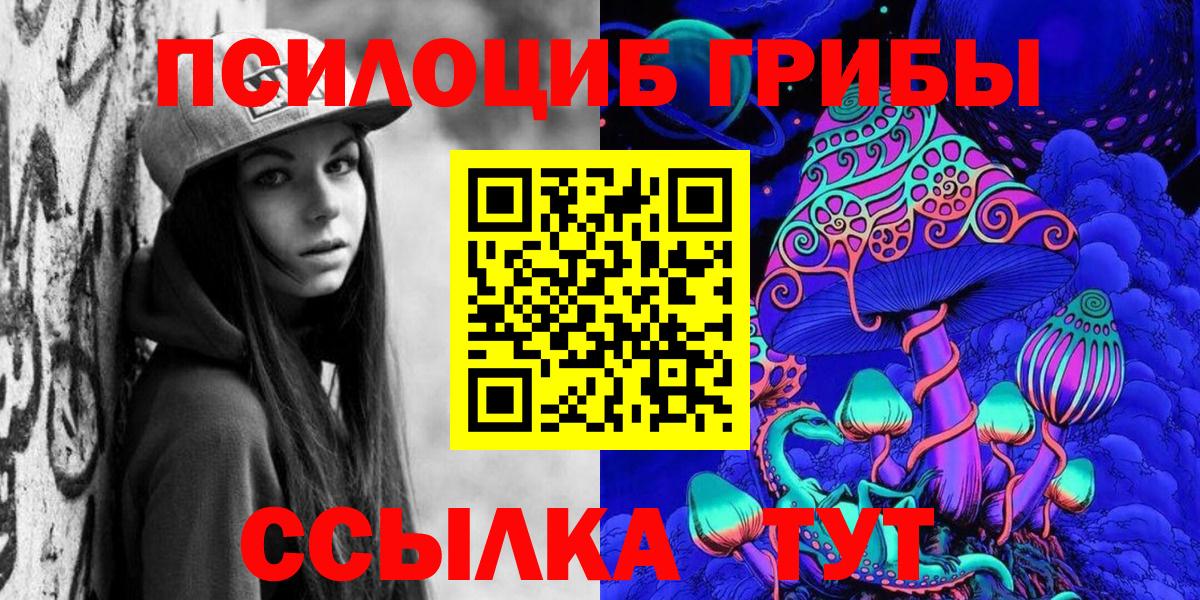 Галлюциногенные грибы Psilocybe  Вход с VPN  Курчатов 